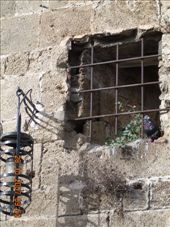 by annatakesatrip, Views[289]