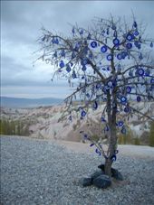 by annatakesatrip, Views[222]