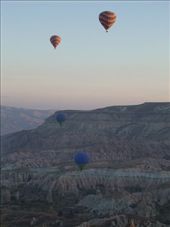 by annatakesatrip, Views[222]