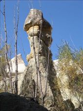 by annatakesatrip, Views[231]