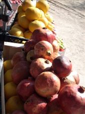 by annatakesatrip, Views[255]