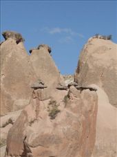 by annatakesatrip, Views[255]