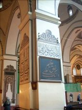 by annatakesatrip, Views[256]