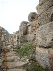 by annatakesatrip, Views[204]