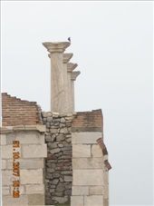 by annatakesatrip, Views[178]