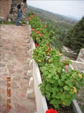 by annatakesatrip, Views[193]