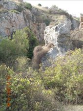 by annatakesatrip, Views[234]