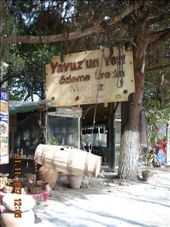 by annatakesatrip, Views[230]