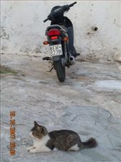 by annatakesatrip, Views[311]