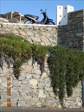 by annatakesatrip, Views[182]