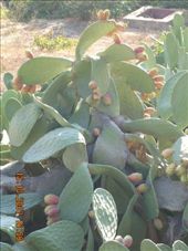 by annatakesatrip, Views[191]