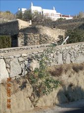 by annatakesatrip, Views[210]