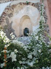 by annatakesatrip, Views[313]