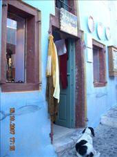 by annatakesatrip, Views[225]