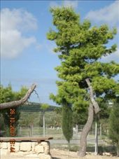 by annatakesatrip, Views[175]