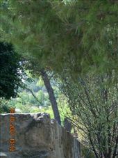 by annatakesatrip, Views[450]