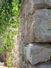 by annatakesatrip, Views[501]