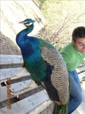 by annatakesatrip, Views[424]