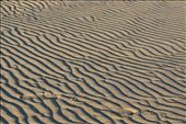 Ripple marks carve the shore in the suburb of South Townsville where the rising sun is best viewed and where locals love to fish and take their dogs for morning exercise. : by anncorvera, Views[627]