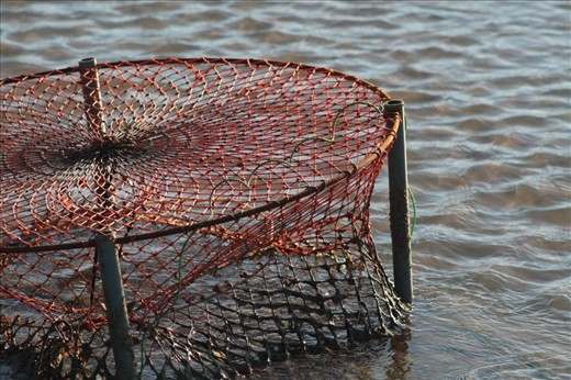 Fishing and crabbing in every river, creek and corner are top recreational activities, as a diverse range of waterways – both pristine and murky – surround Townsville suburbs. 