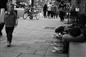 A common sight for adults is a new one for the curious minds of children, as a boy watches a homeless man finds solace with a nap on a busy pathway on William Street in the Perth city centre. : by anncorvera, Views[502]