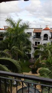 En dan word je wakker, en er staan plots kokospalmen in de achtertuin! : by anneleen, Views[248]