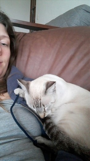 Deze stond vanochtend om 6u30 te miauwen in de woonkamer. Beste vrienden ondertussen :). Meet Gato!