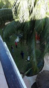 by anneleen, Views[260]