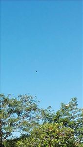 by anneleen, Views[253]