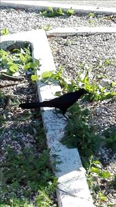 by anneleen, Views[236]