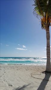 by anneleen, Views[251]