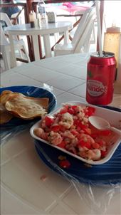 by anneleen, Views[311]