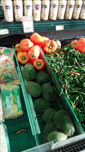 by anneleen, Views[293]