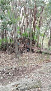 by anneleen, Views[232]