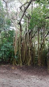 by anneleen, Views[274]