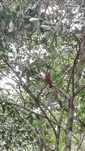 by anneleen, Views[292]