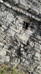 by anneleen, Views[243]