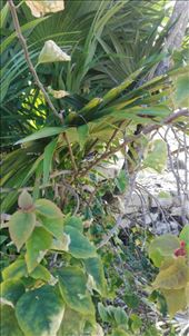 by anneleen, Views[237]