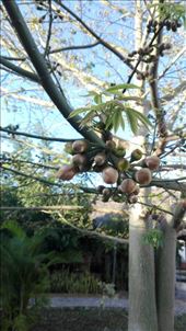 by anneleen, Views[335]