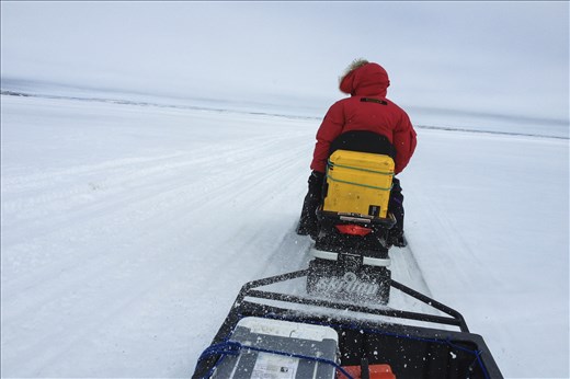 Riding 5 miles on sea ice towards our sampling site. 06/13/14 Cambridge Bay