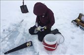 Collecting the bottom of ice cores to study the algae bloom. 06/13/14 Cambridge : by annelise, Views[332]