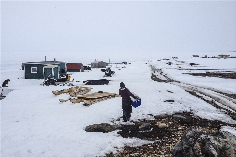 Coming back to the camp, a hunter dry cabin, with the samples. 06/13/14 