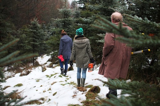 The change in weather means that Josef and his family can finally enter the forest in search of a Christmas tree. A carpenter by trade, Josef is assisted by three of his four daughters to help him transport the tree back to their village.