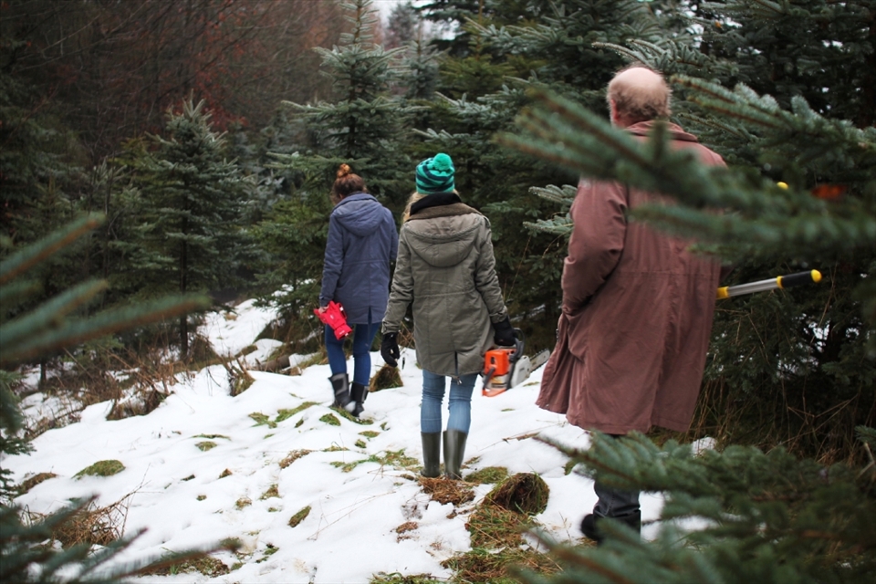 The change in weather means that Josef and his family can finally enter the forest in search of a Christmas tree. A carpenter by trade, Josef is assisted by three of his four daughters to help him transport the tree back to their village.