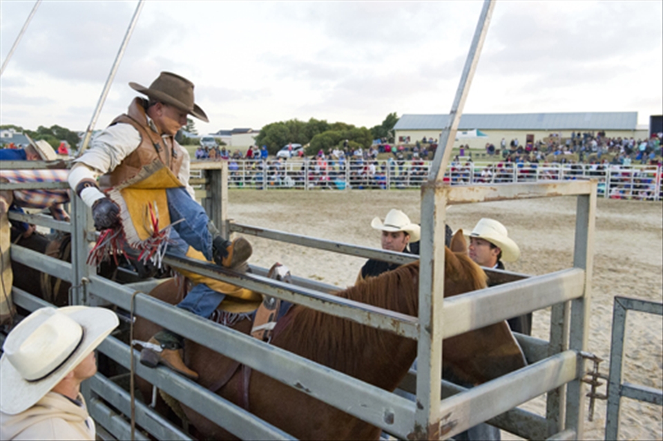 Bronc rider Lee Bowker prepares to ride out 8 seconds on a bucking bronco.