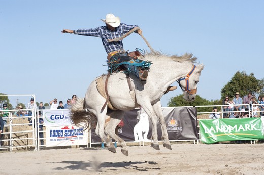 Les Stacey displays his winning style in the Saddle Bronc division.