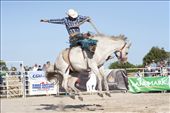 Les Stacey displays his winning style in the Saddle Bronc division.: by annettechisholm, Views[403]