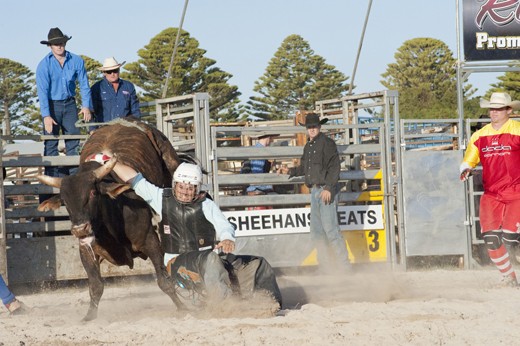 Darcy McBean trapped by his gear to an enraged bull, 'clown' coming to rescue.  