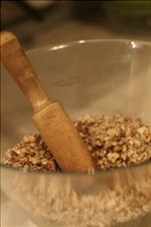 by annsden, Views[212]