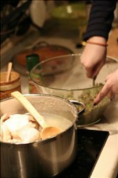 by annsden, Views[209]